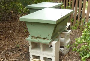 New Top Bar Hives New Top Bar Hives