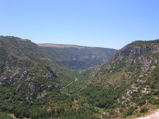 Hyblaean Wildflower Honey – Sicily Hyblaean Wildflower Honey – Sicily