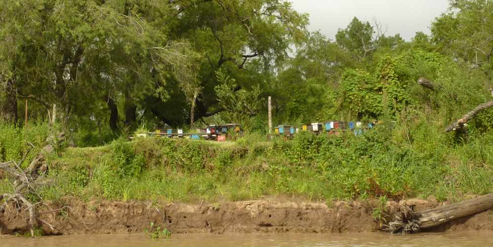 Beehives on the Parana Delta channel outside Rosario